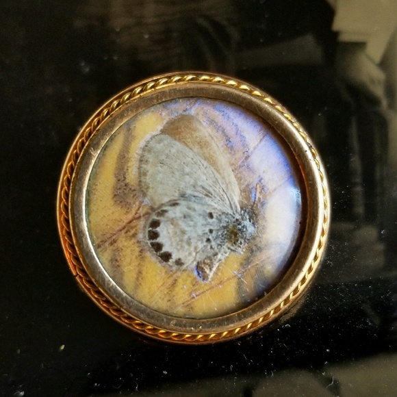 Vintage Jewelry - Antique 1903 real butterfly brooch W&H Co